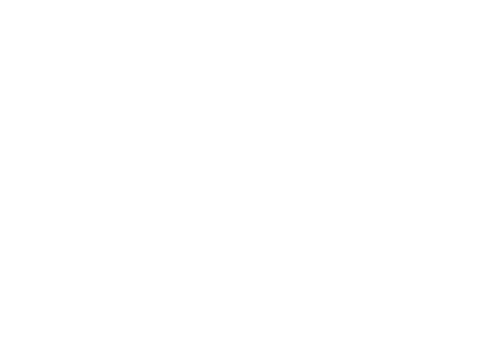 THE IDEA