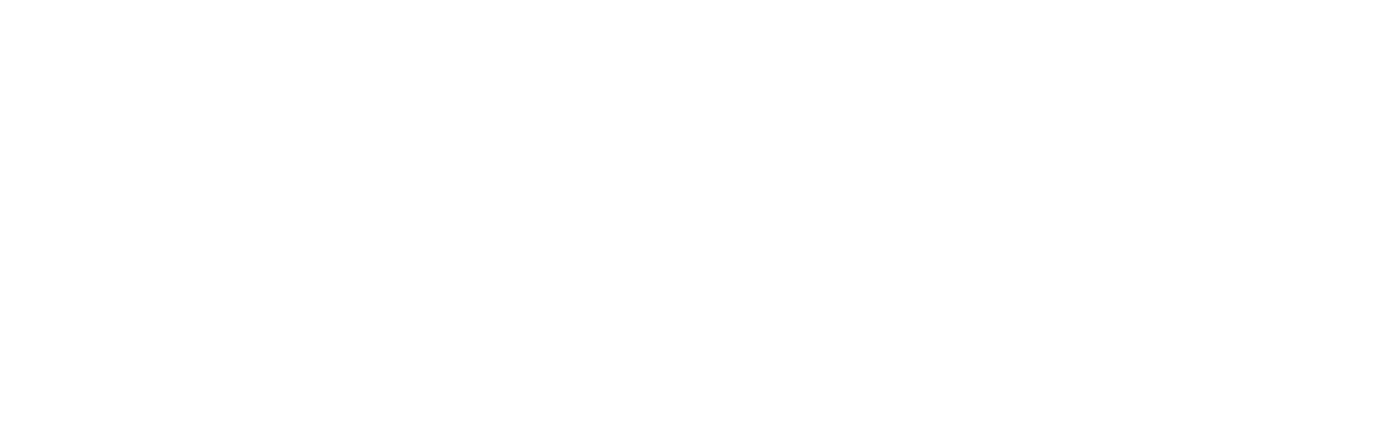 Dan-Form